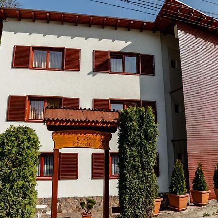 Pensiunea Eva Bed & Breakfast Sovata Eksteriør bilde
