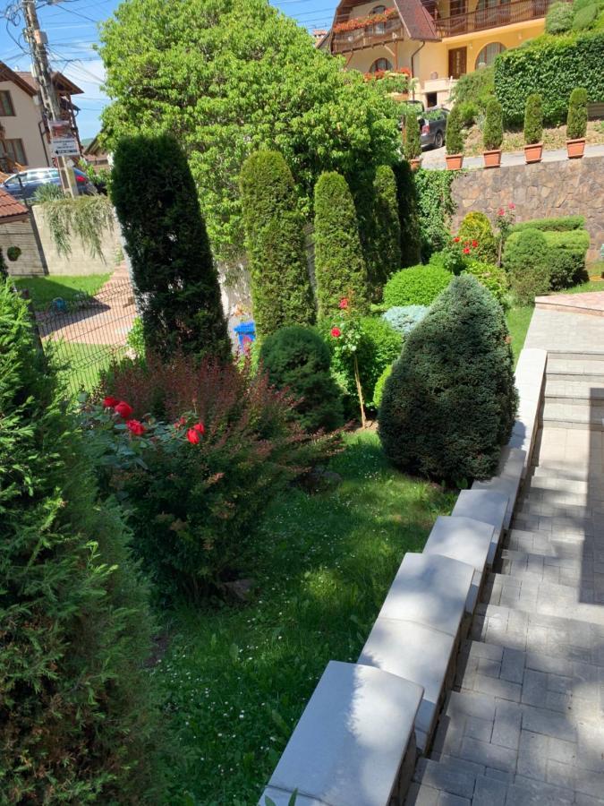 Pensiunea Eva Bed & Breakfast Sovata Eksteriør bilde