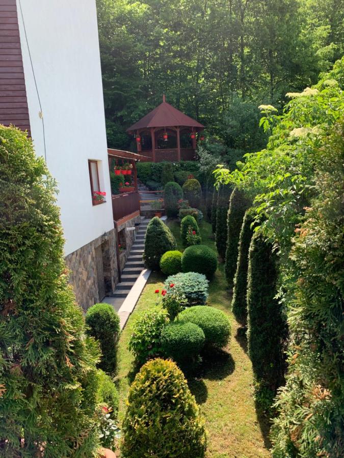 Pensiunea Eva Bed & Breakfast Sovata Eksteriør bilde