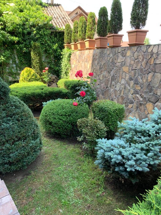 Pensiunea Eva Bed & Breakfast Sovata Eksteriør bilde
