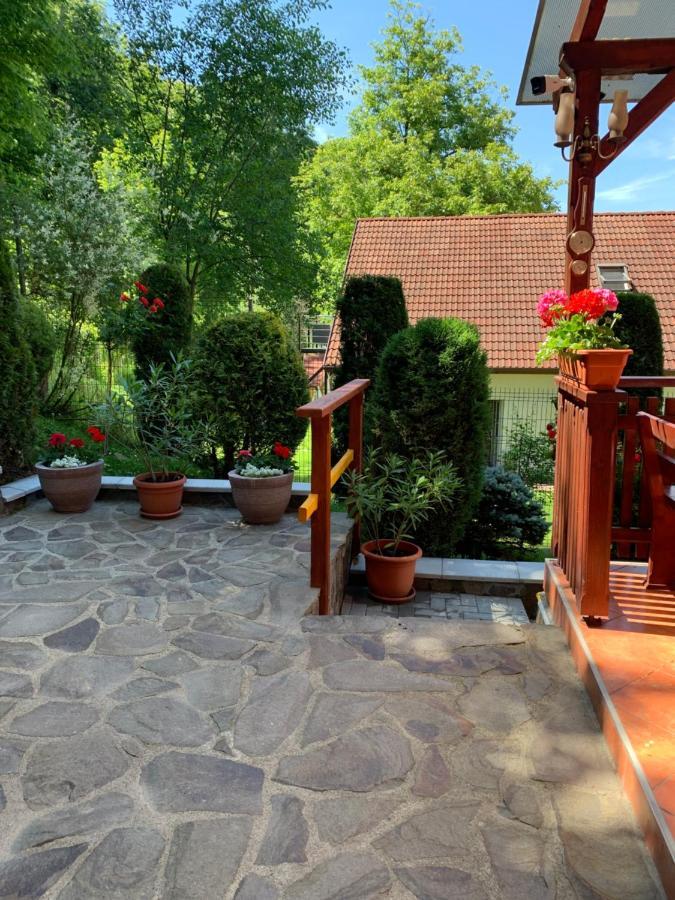 Pensiunea Eva Bed & Breakfast Sovata Eksteriør bilde