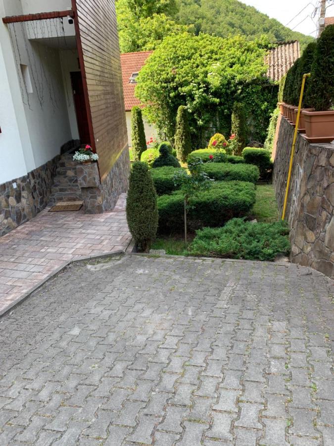 Pensiunea Eva Bed & Breakfast Sovata Eksteriør bilde