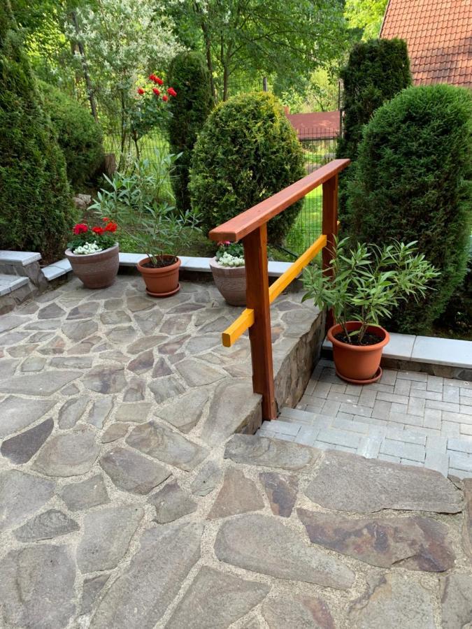 Pensiunea Eva Bed & Breakfast Sovata Eksteriør bilde