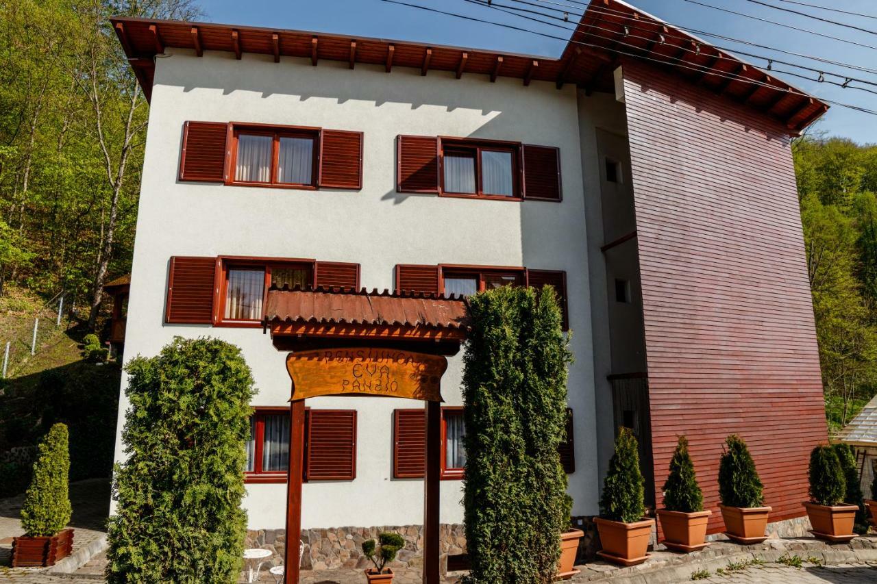 Pensiunea Eva Bed & Breakfast Sovata Eksteriør bilde